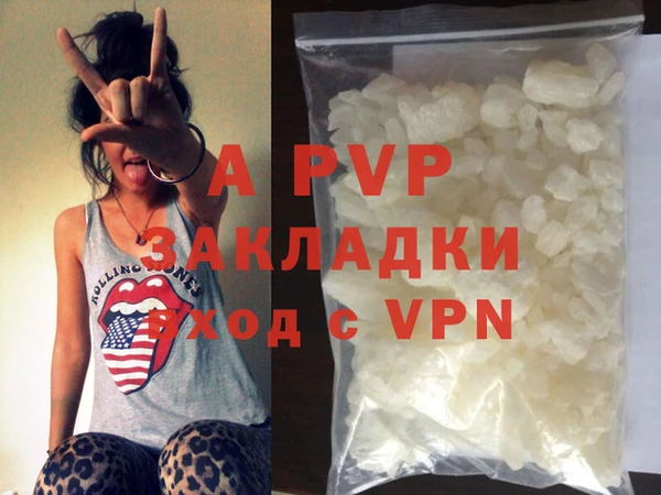 стаф Богданович