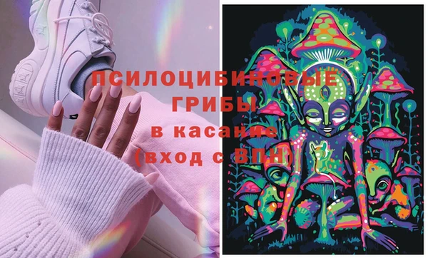 марки lsd Белокуриха