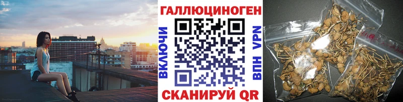 Галлюциногенные грибы ЛСД  блэк спрут зеркало  Северск  купить наркотики цена 