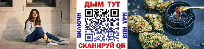 Конопля MAZAR  как найти закладки  Северск 